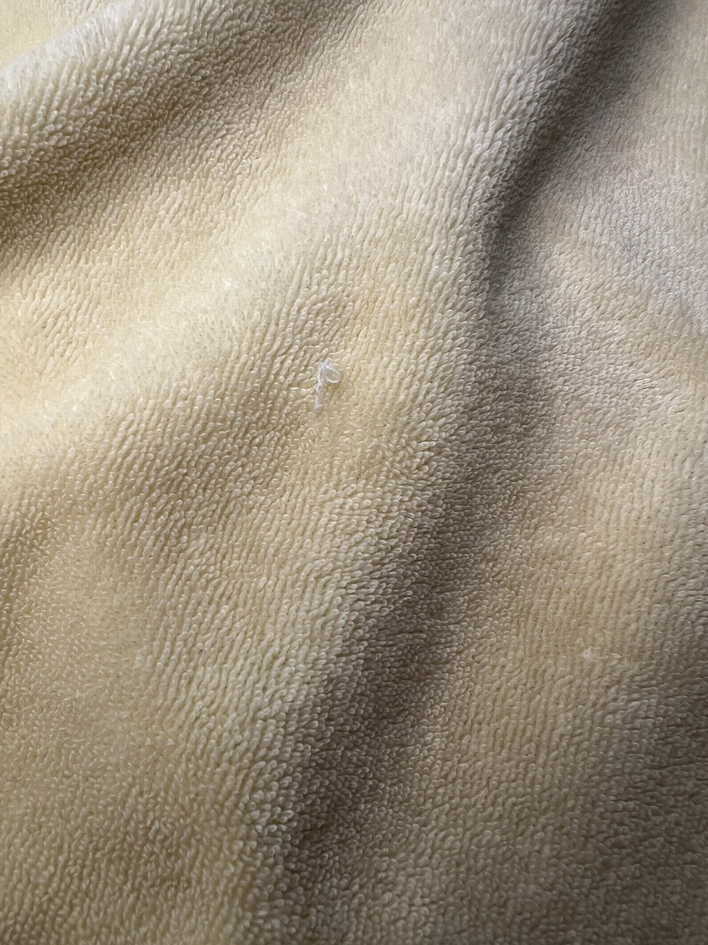 JUICY COUTURE Yellow Terrycloth Collar Shirt