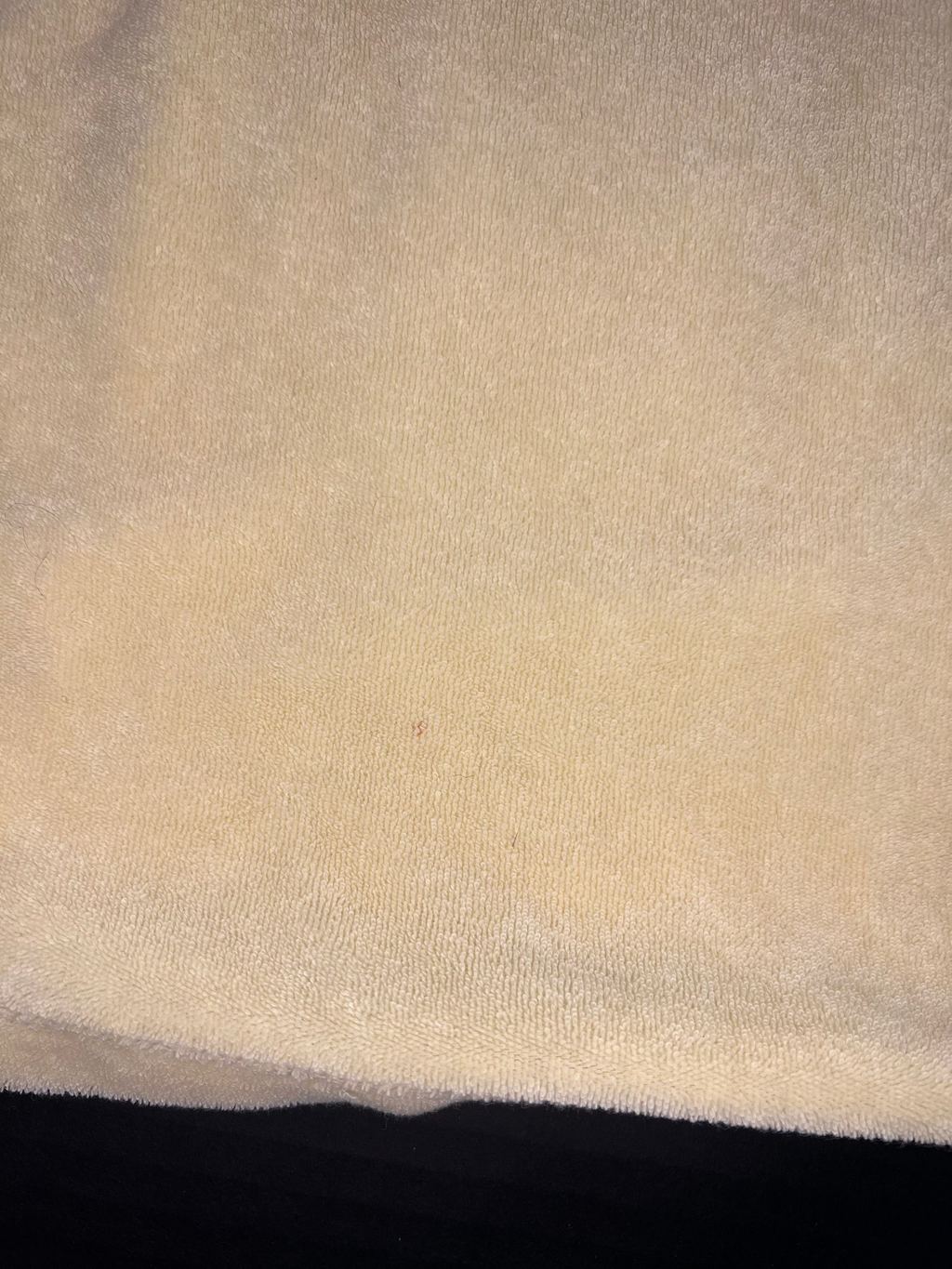 JUICY COUTURE Yellow Terrycloth Collar Shirt