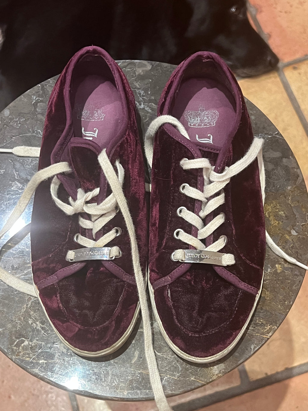 Juicy Couture darren velvet sneaker (6M)