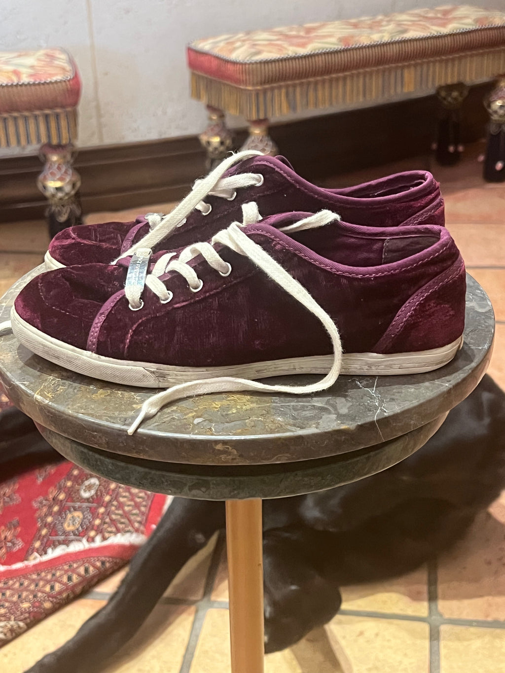 Juicy Couture darren velvet sneaker (6M)