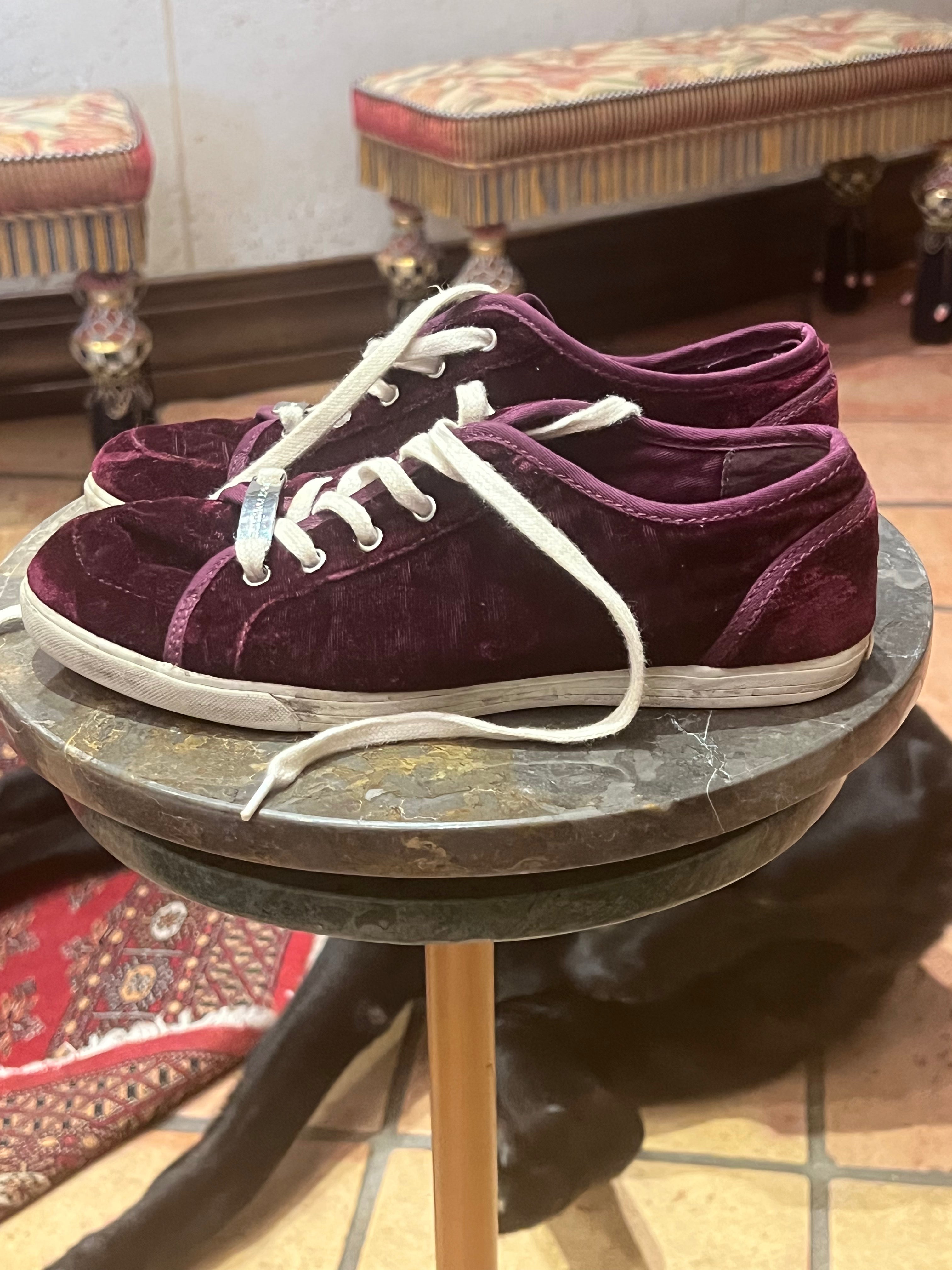 Juicy Couture darren velvet sneaker (6M)