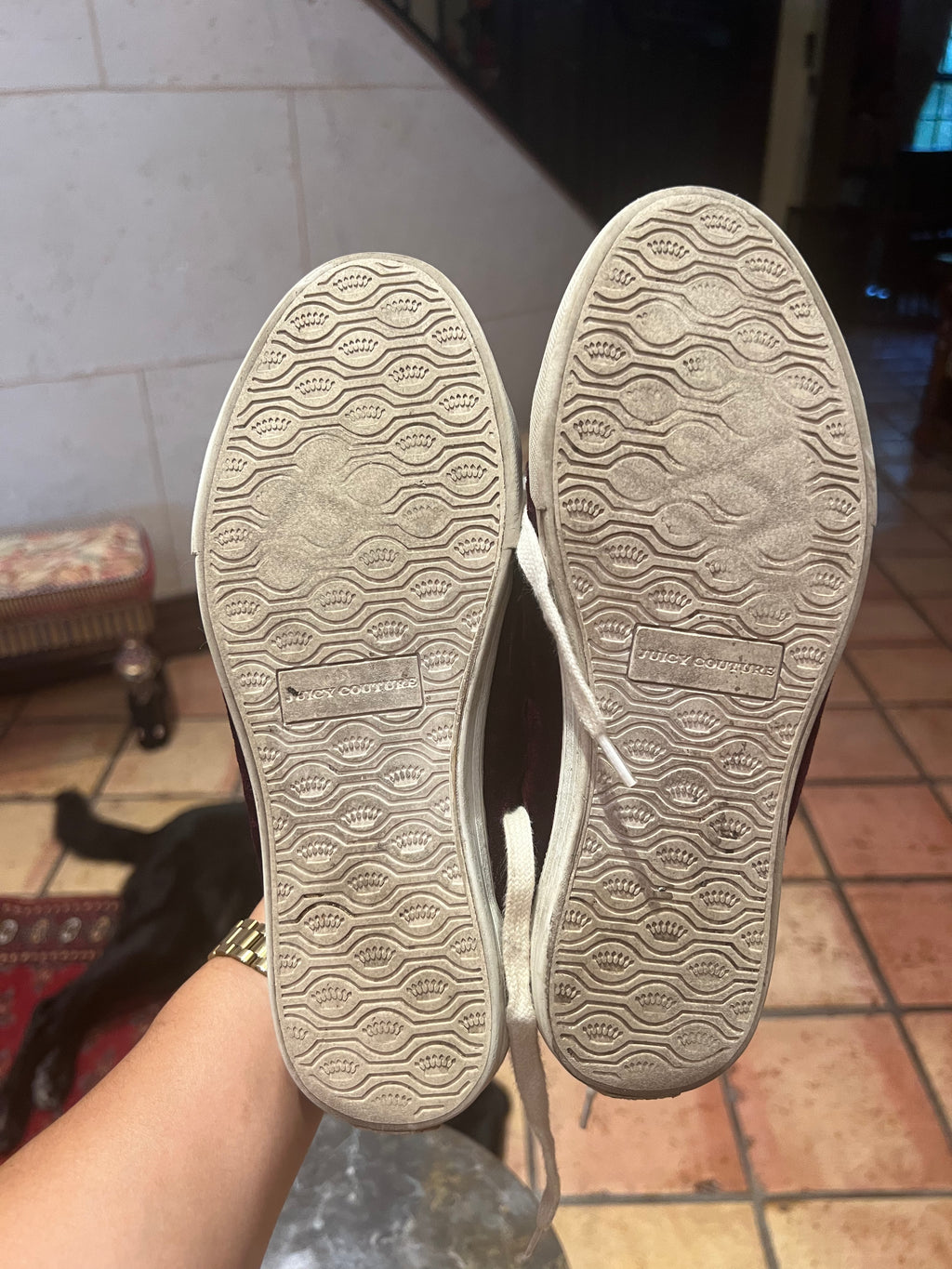 Juicy Couture darren velvet sneaker (6M)